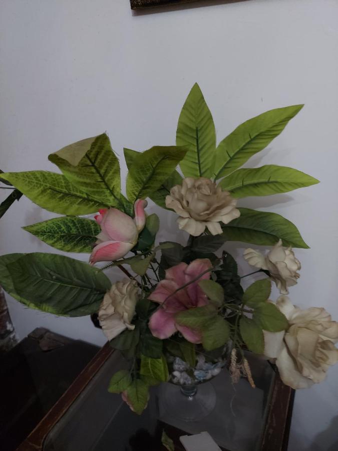 Al Moayad Apartment Near To Genina Mall, Abbas Al Akkad Caïro Buitenkant foto